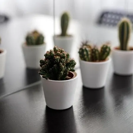 - Old Town - Comfortable And Cozy - W3 Apartment