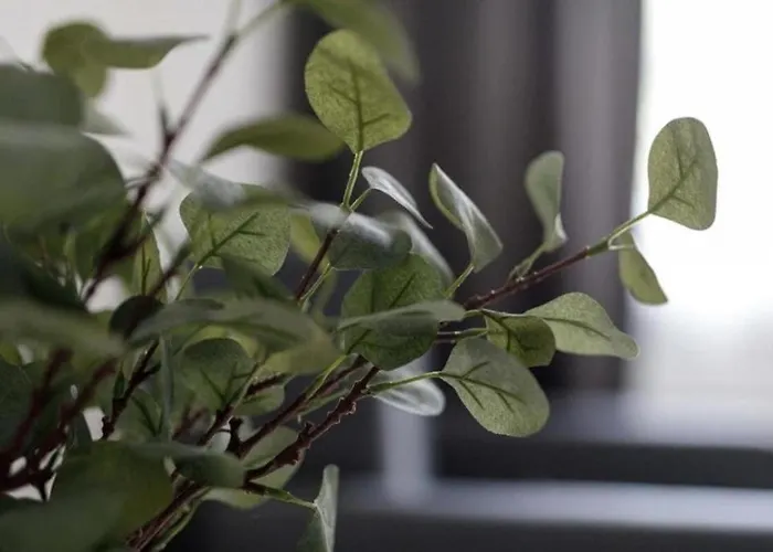 - Old Town - Comfortable And Cozy - W3 Apartment