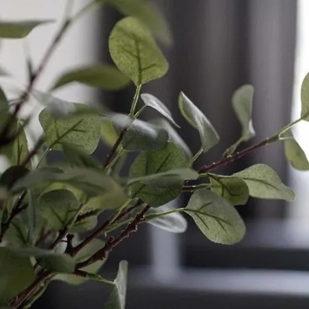 - Old Town - Comfortable And Cozy - W3 公寓