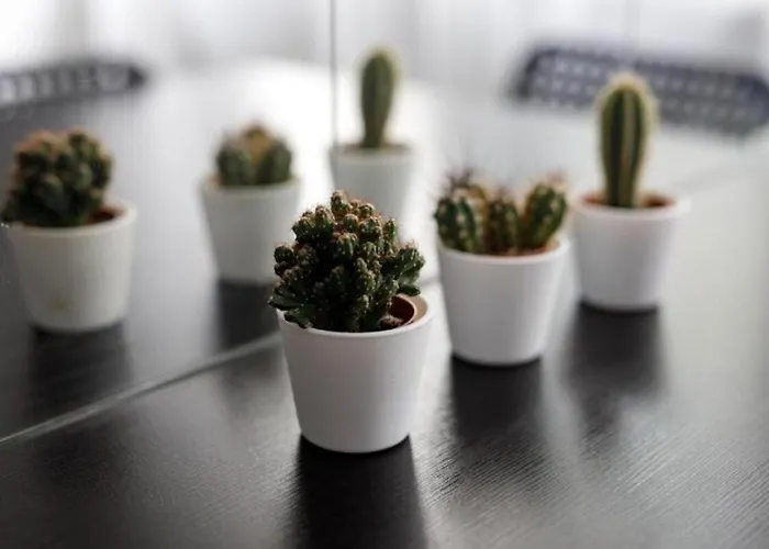 - Old Town - Comfortable And Cozy - W3 Διαμέρισμα